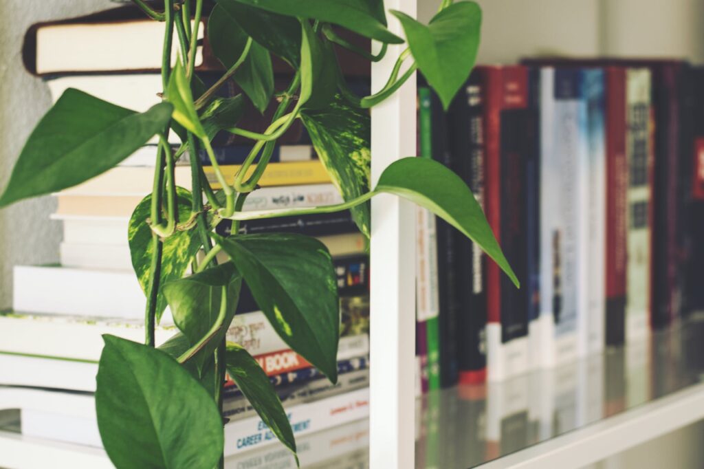 books on rack