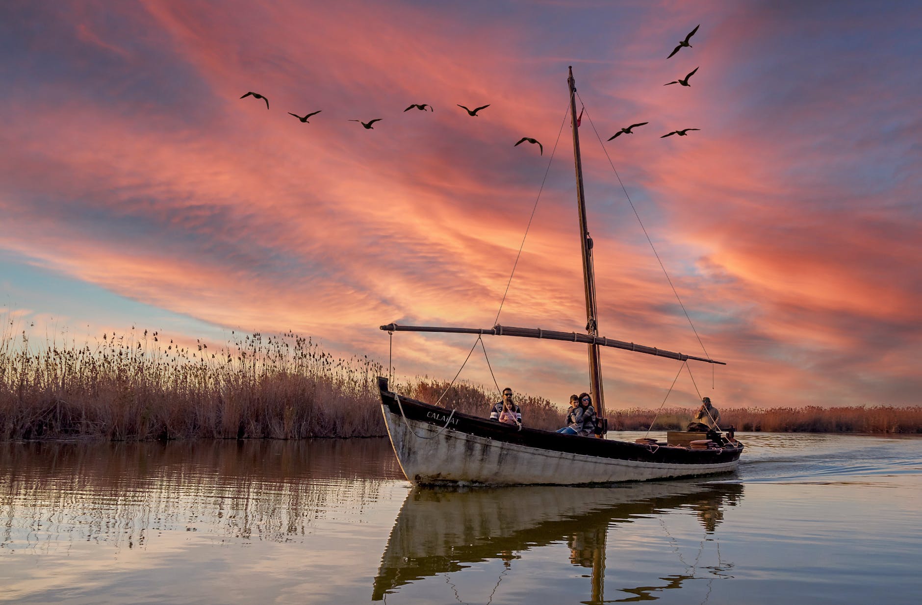 white and black boat on lake