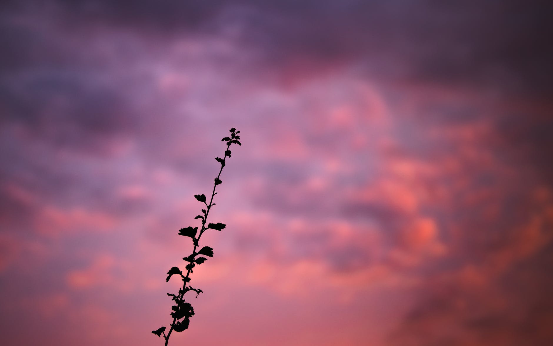 light dawn landscape nature